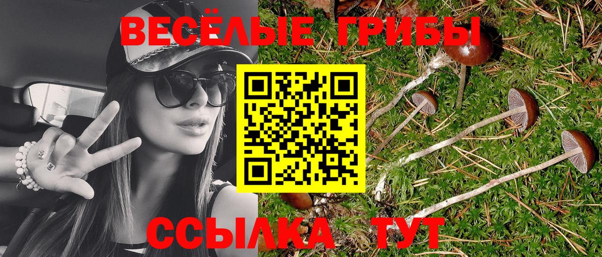 Псилоцибиновые грибы Psilocybine cubensis  Псилоцибиновые грибы MAGIC MUSHROOMS  цены   Гусев  Вход с VPN 