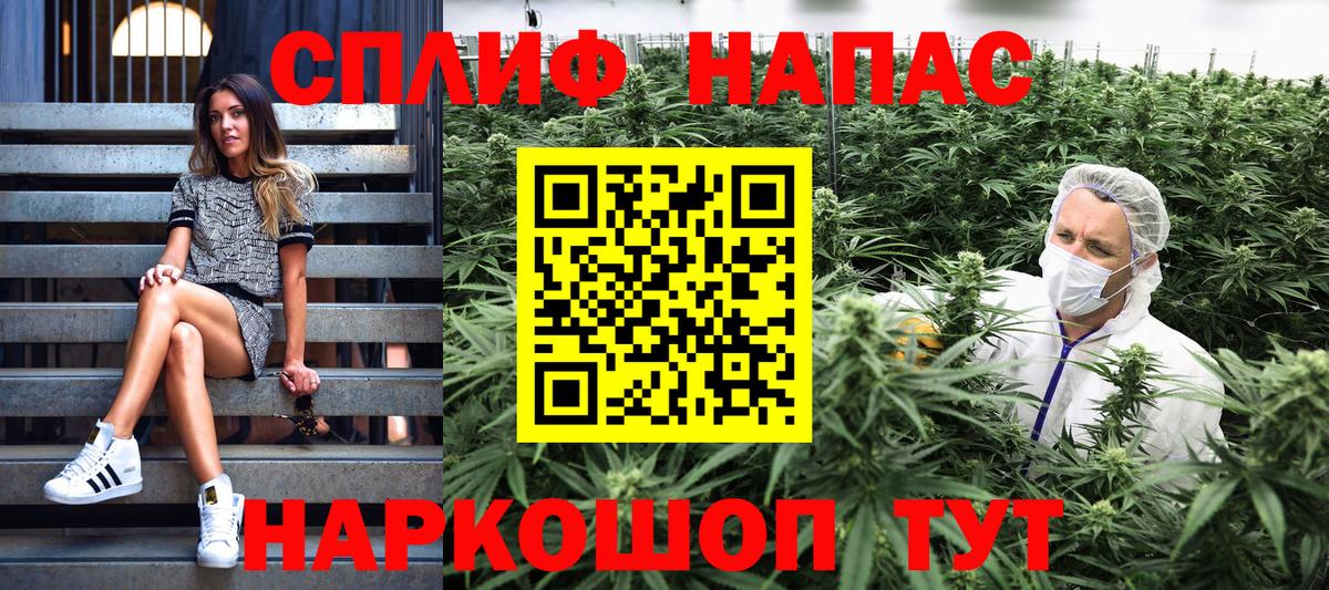 Бошки Шишки MAZAR Гусев