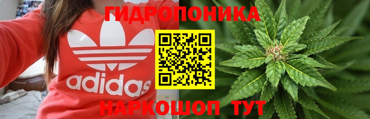 Бошки Шишки гибрид  Каннабис Amnesia  Гусев  Вход с VPN  МАРИХУАНА AK-47 
